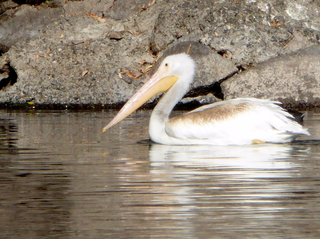 Link River Trail-克拉马斯福尔斯必去景点