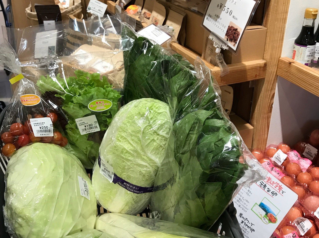 Ruinoen Garden Shop-茨木市必去景点