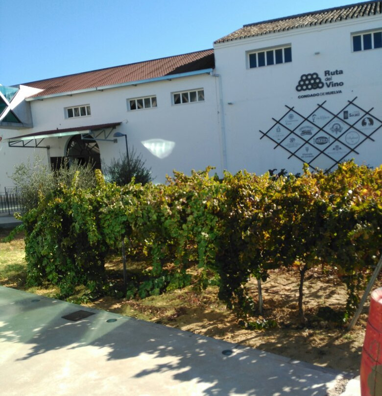 Centro del Vino Condado de Huelva景点图片