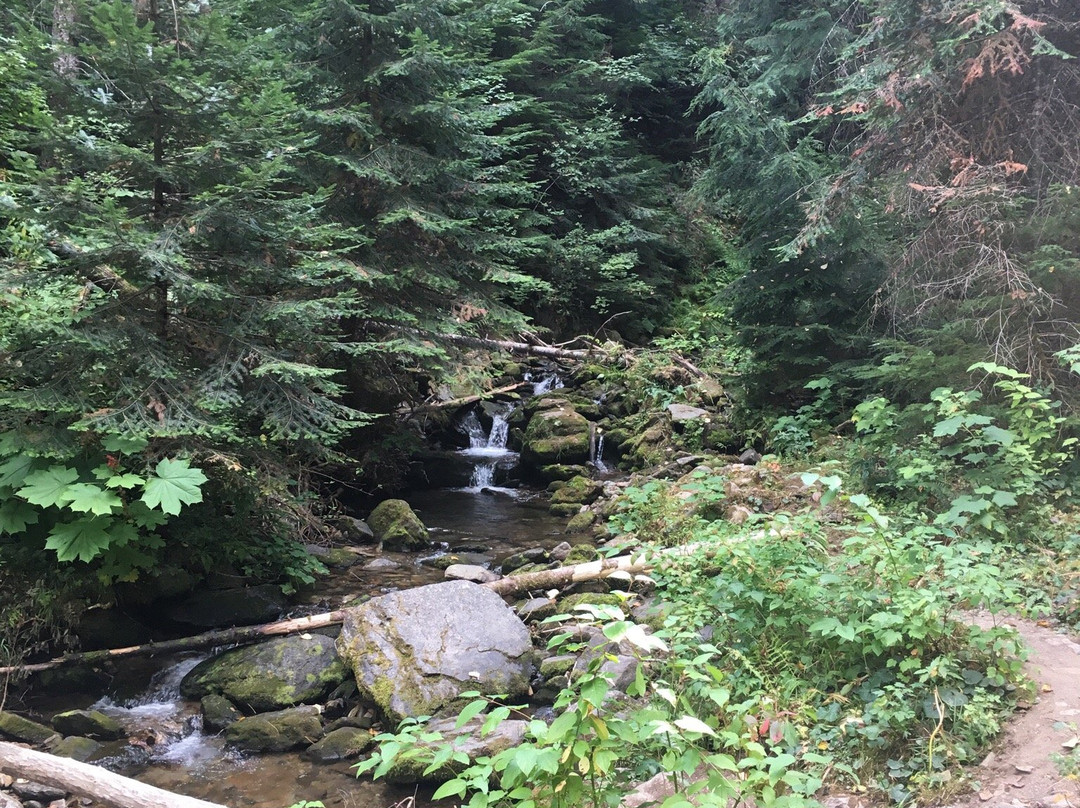 Pulaski Tunnel Trail景点图片