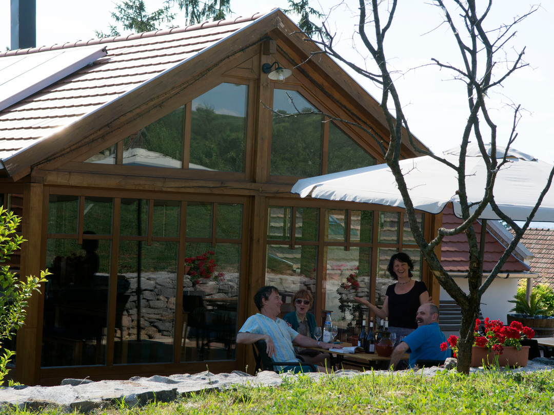 Tokaj Kikelet pince & Ízműhely景点图片