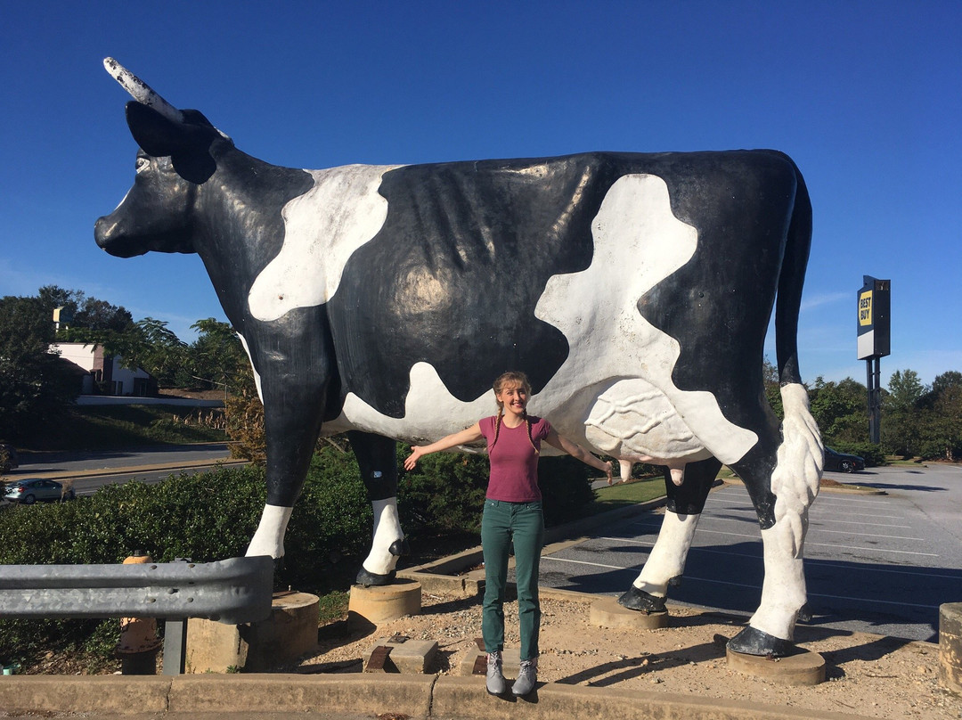 Kadie the Cow of Columbus-哥伦布必去景点