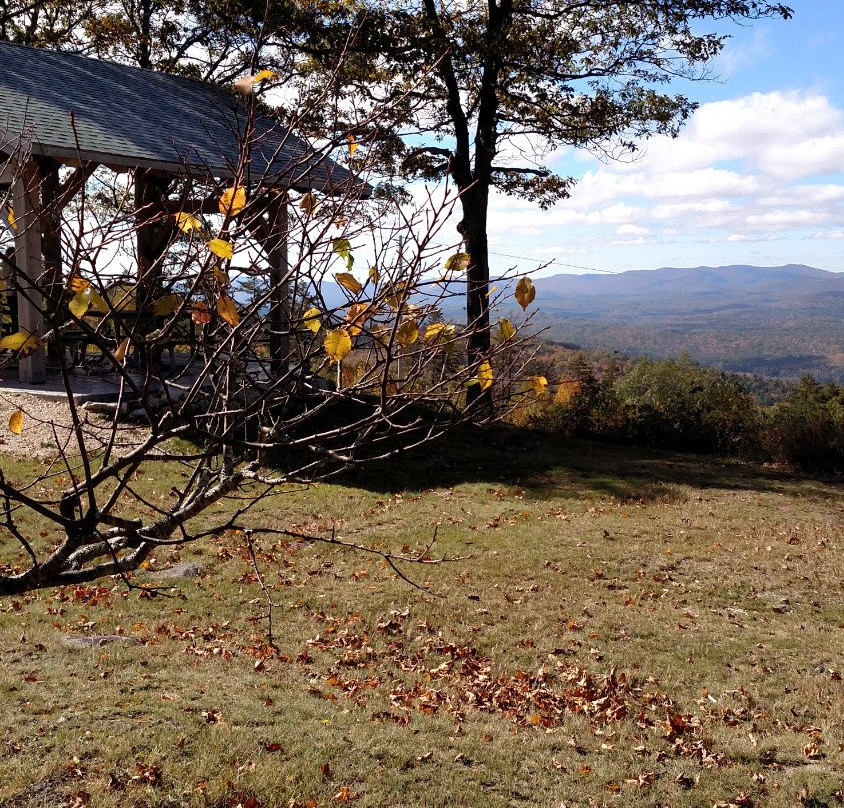 Winslow State Park景点图片