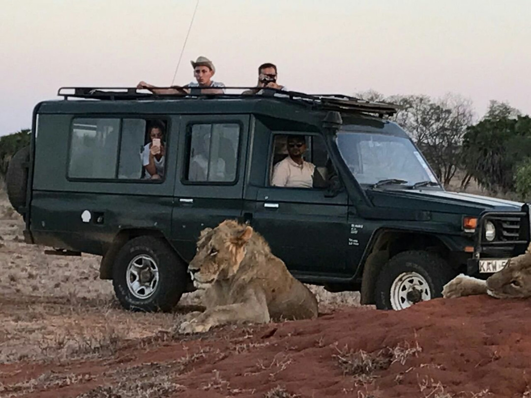 Safari Kenya Plus - Private Day Tour景点图片