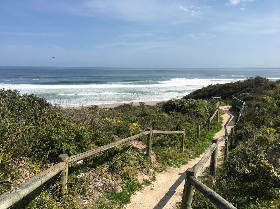 Venus Bay旅游攻略图片