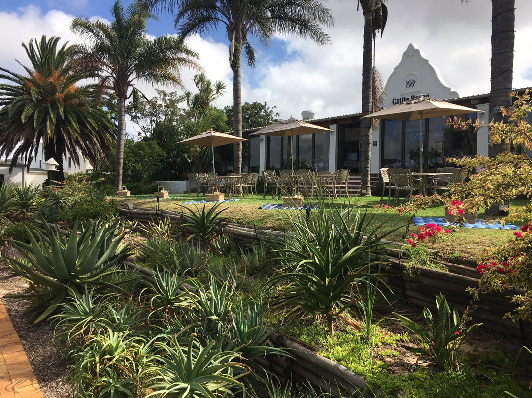 Cattle Baron Saxenburg