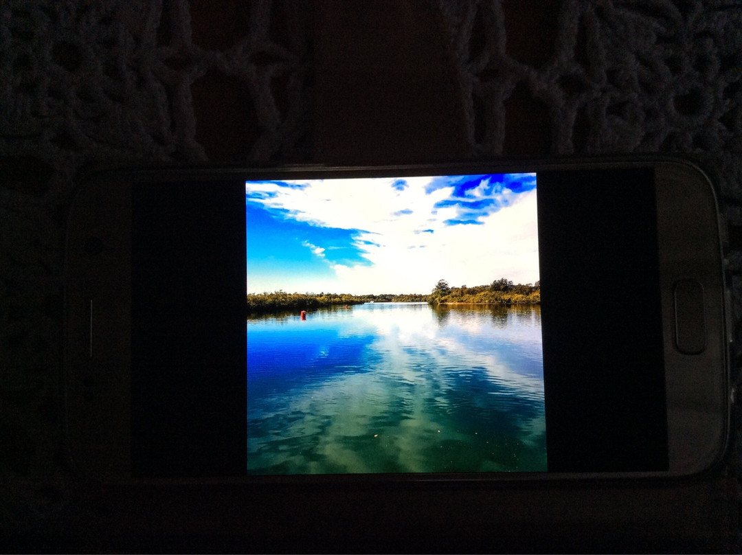 Tweed Regional Museum - Tweed Heads-堤维德岬必去景点