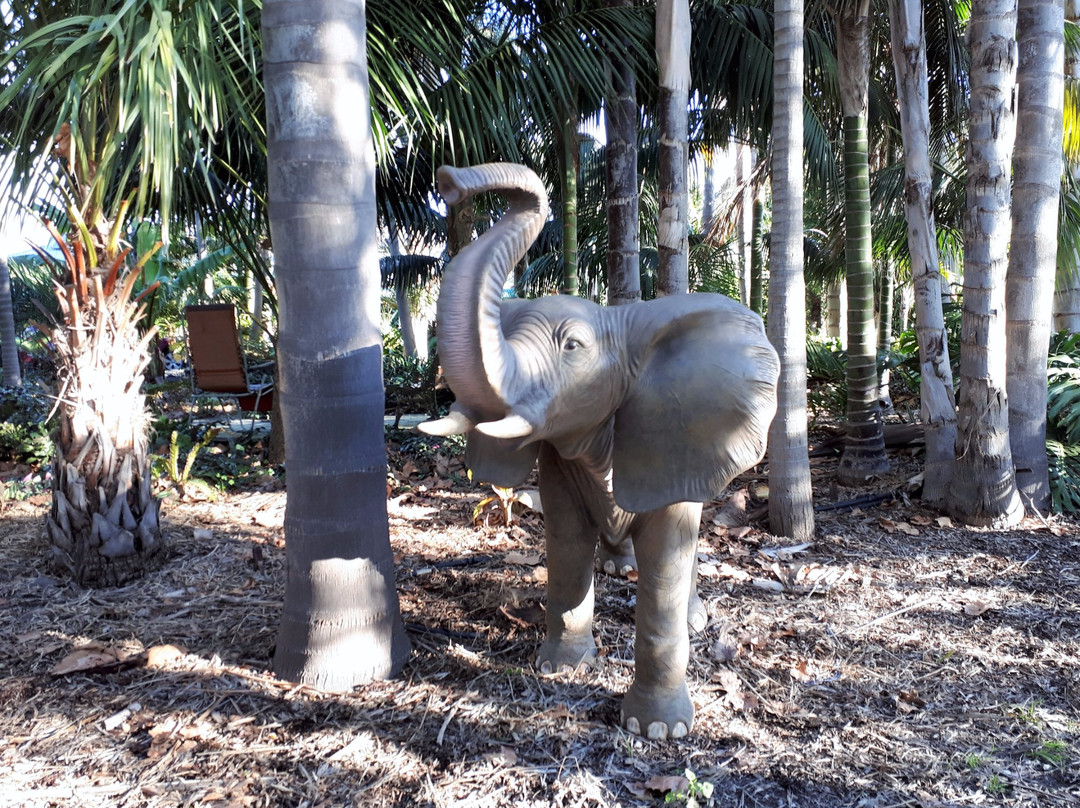Jungle In Willunga景点图片