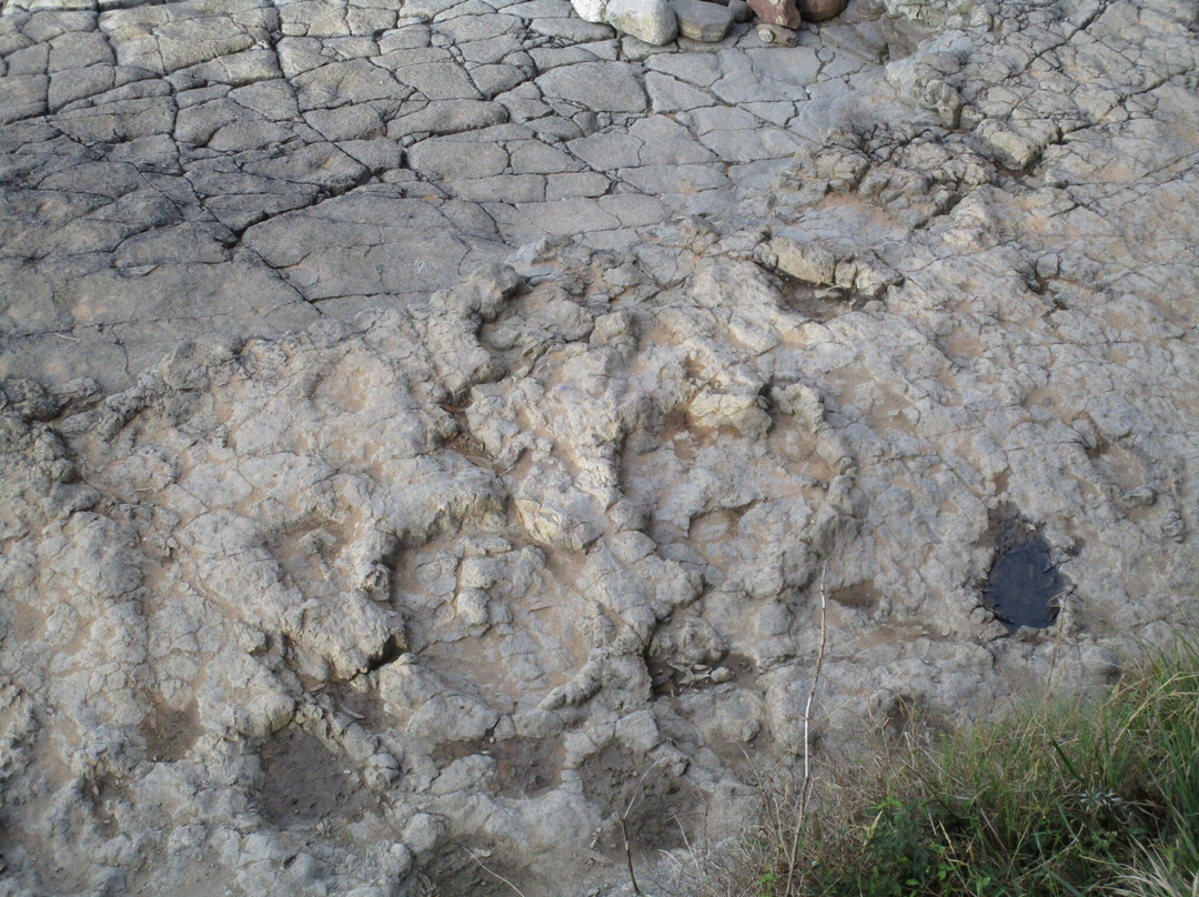 Yacimiento de Icnitas de la playa de la Griega景点图片