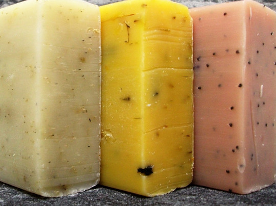 Adam & Eco-利兹必去景点