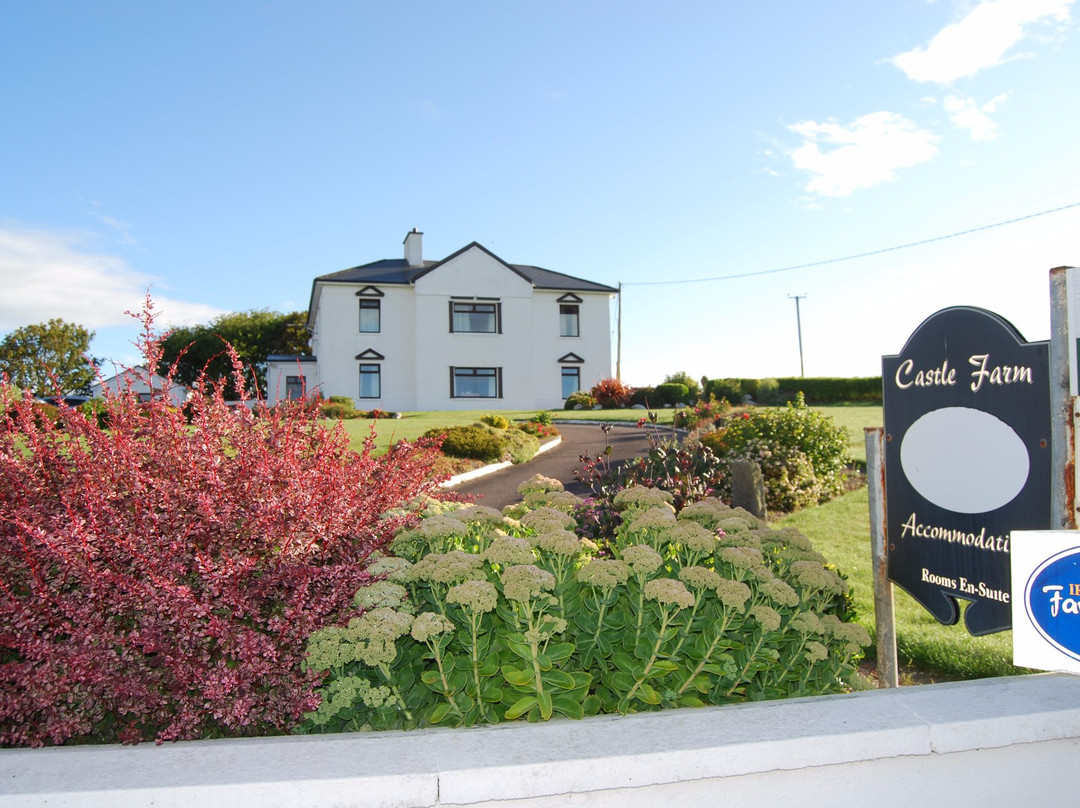 Castlemartyr旅游景点-Castle Farm