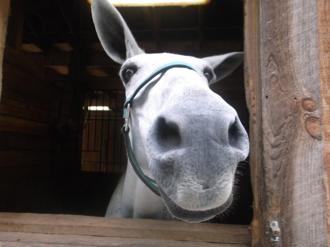 Bob Amos Park-Pikeville必去景点