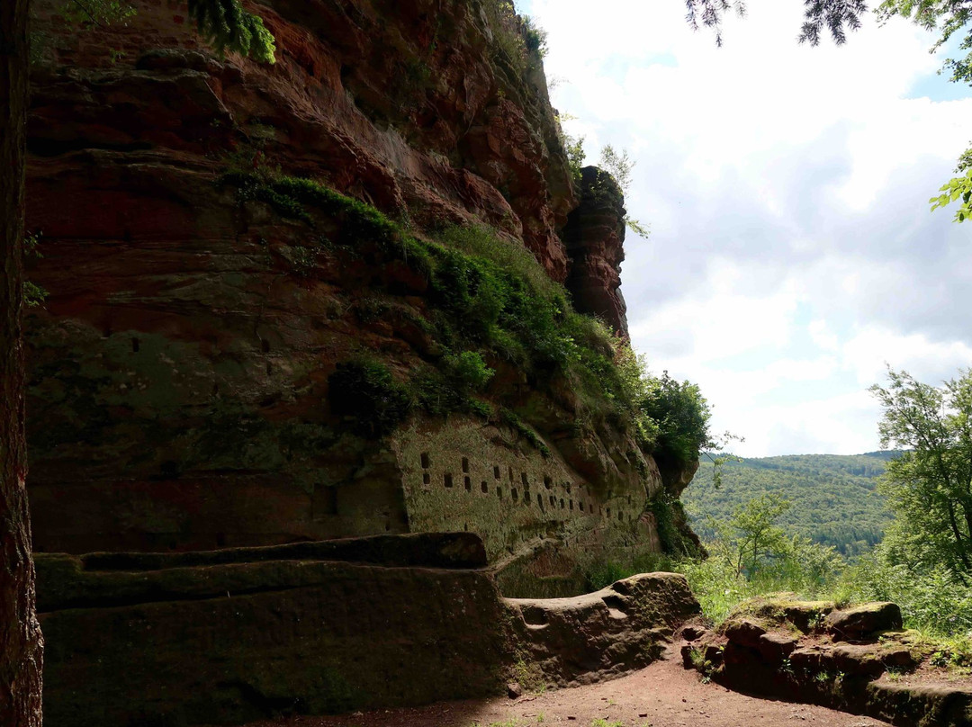 Chateau du Frœnsbourg