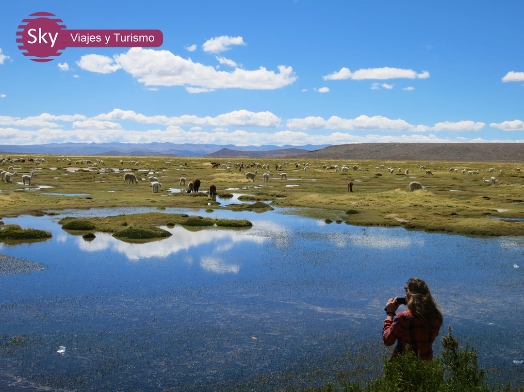 Sky Viajes y Turismo-阿雷基帕必去景点