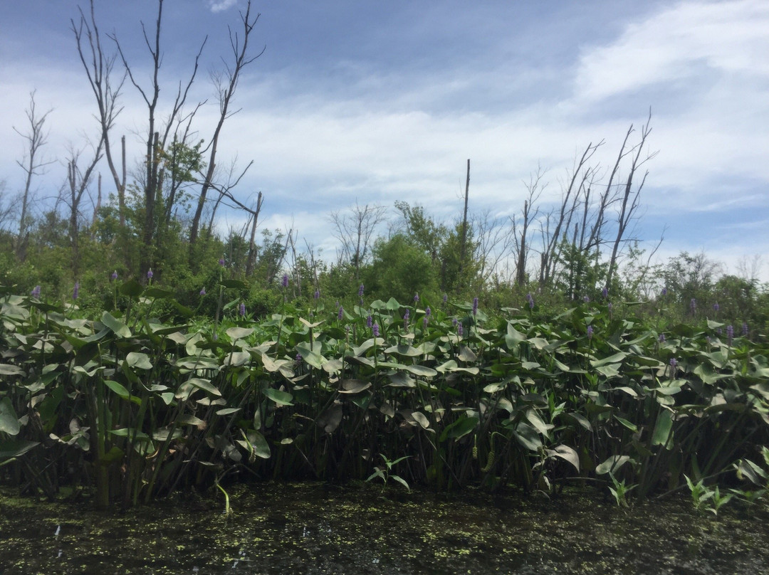 Crooked River Adventures-Burton必去景点