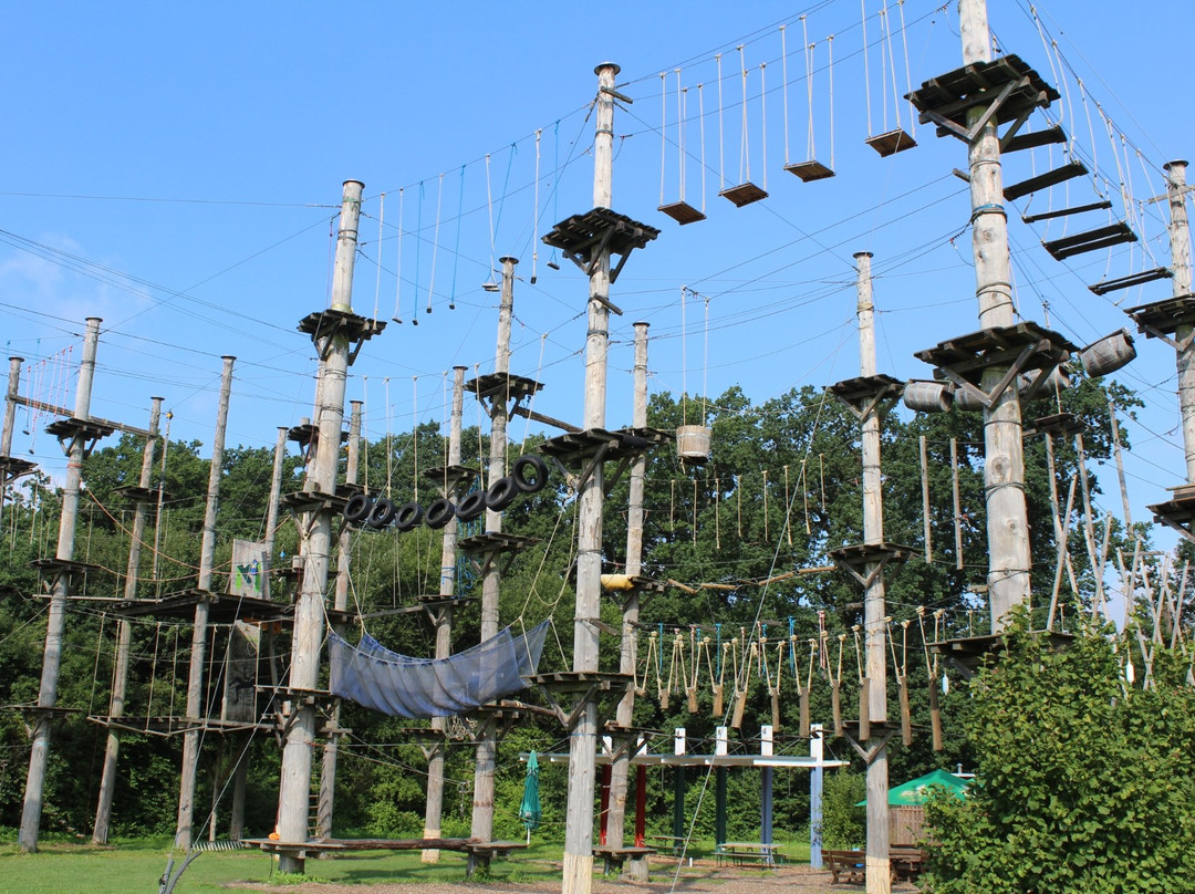 Hochseilgarten Bad Oeynhausen景点图片
