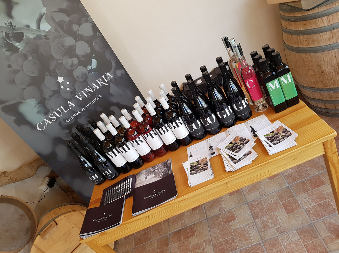 Casula Vinaria Winery景点图片