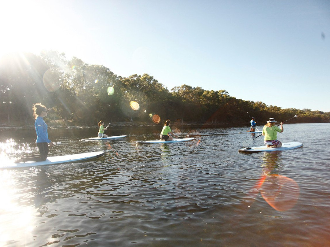 Elemental Stand Up Paddle boarding-珀斯必去景点