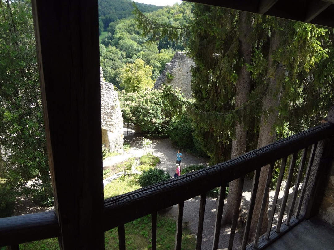 Schloss Birseck