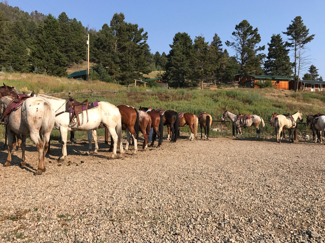 Specimen Creek Outfitters-加德纳必去景点