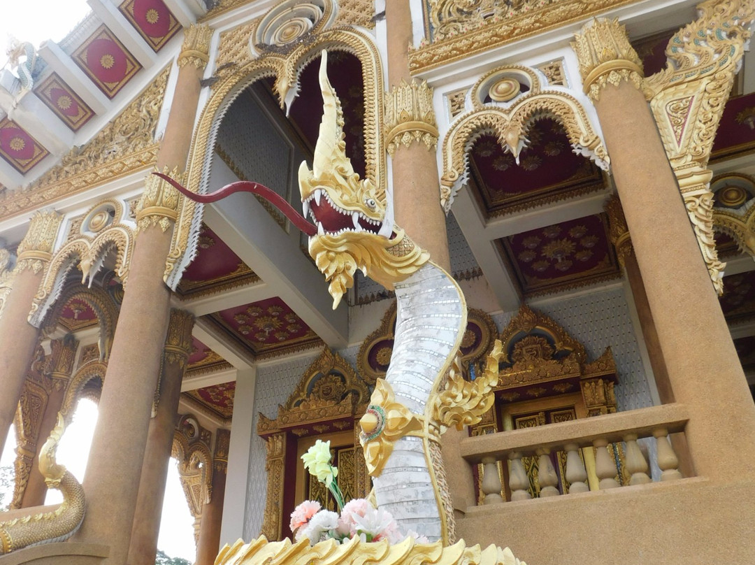 Sim Isan (Wat Pa Saeng Arun)景点图片