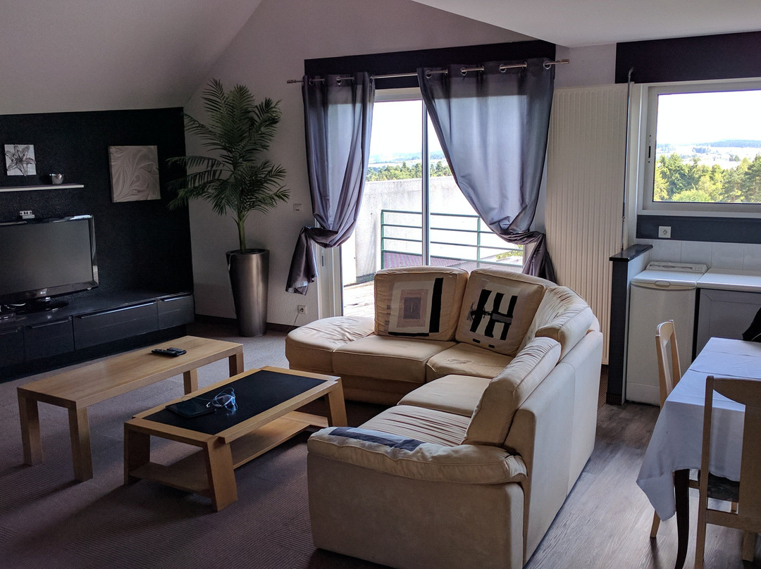 Logis Hôtel les Portes d'Apcher主图
