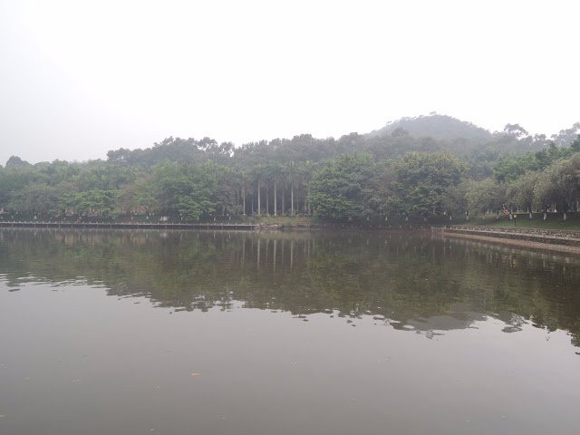 东莞虎英郊野公园-东莞市必去景点