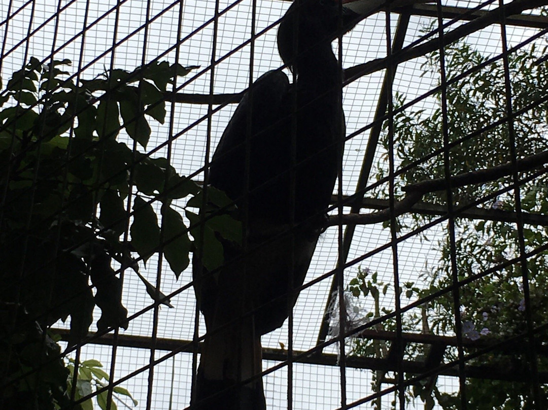 Tagal Tinopikon Park-兵南邦必去景点