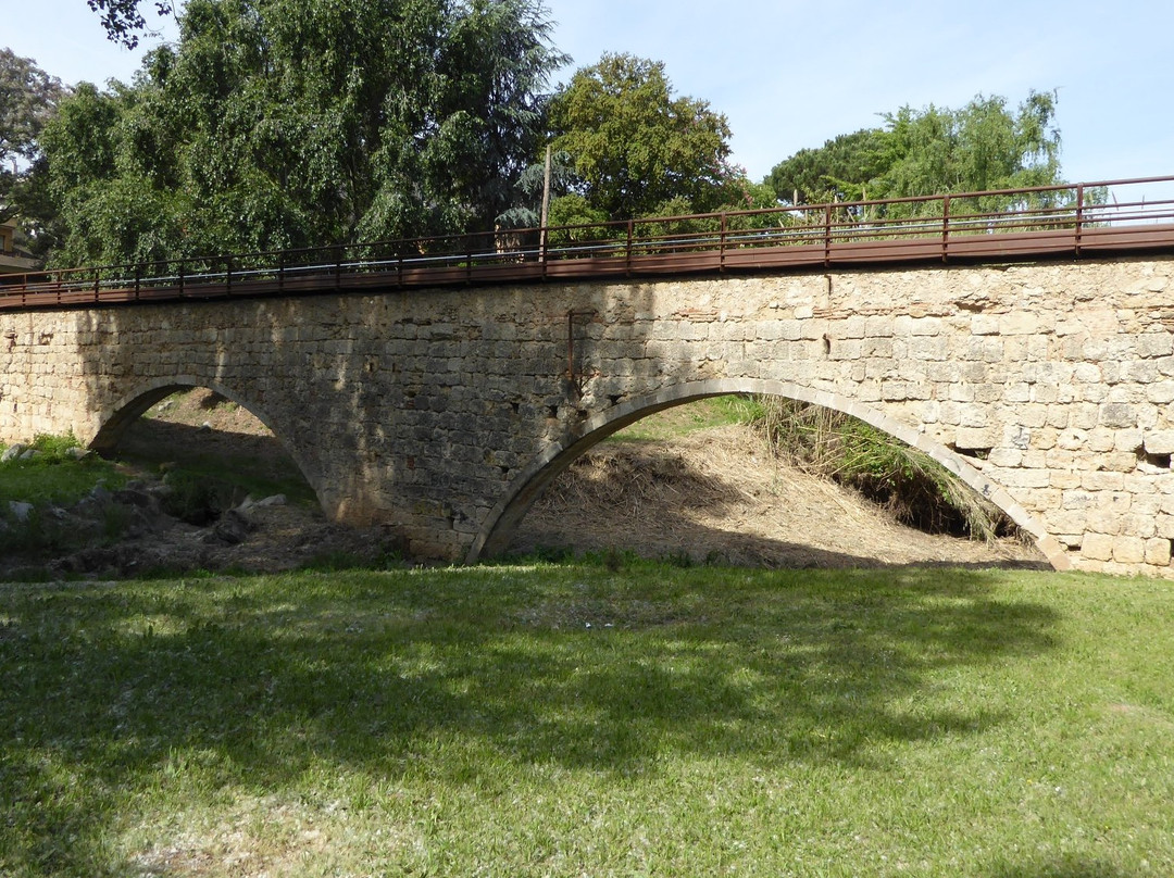 Pont de Can Vernet景点图片