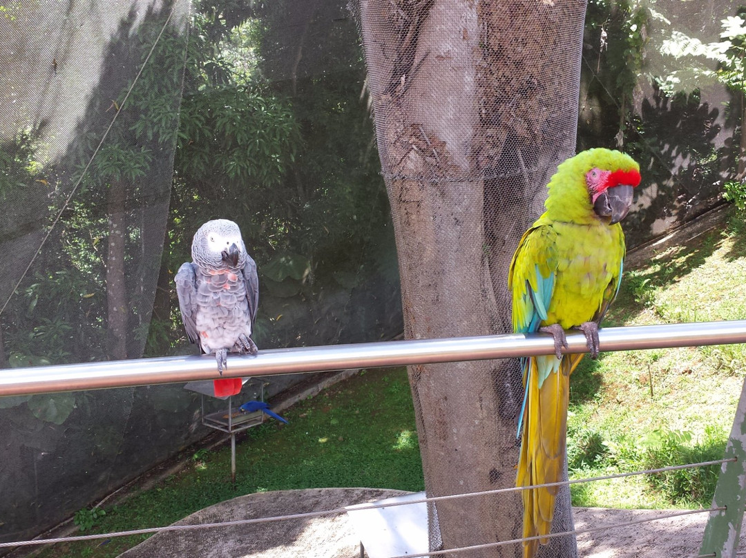 Parque Forestal La Marquesa景点图片