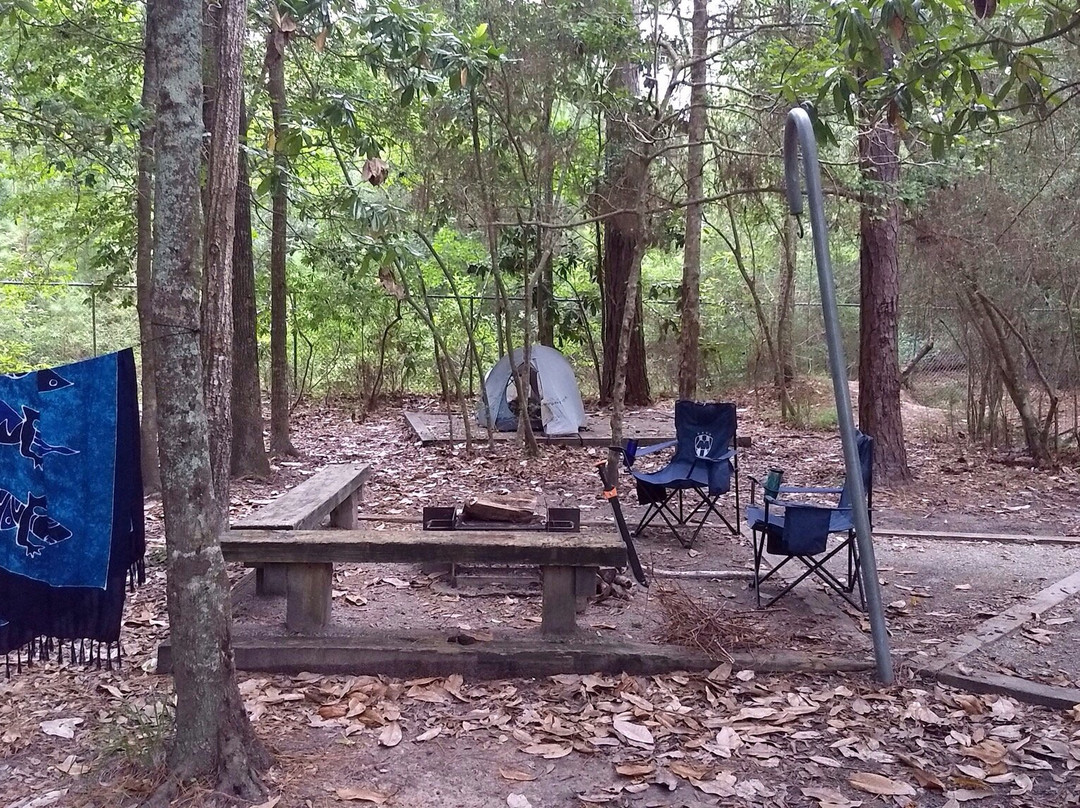 Village Creek State Park-Lumberton必去景点