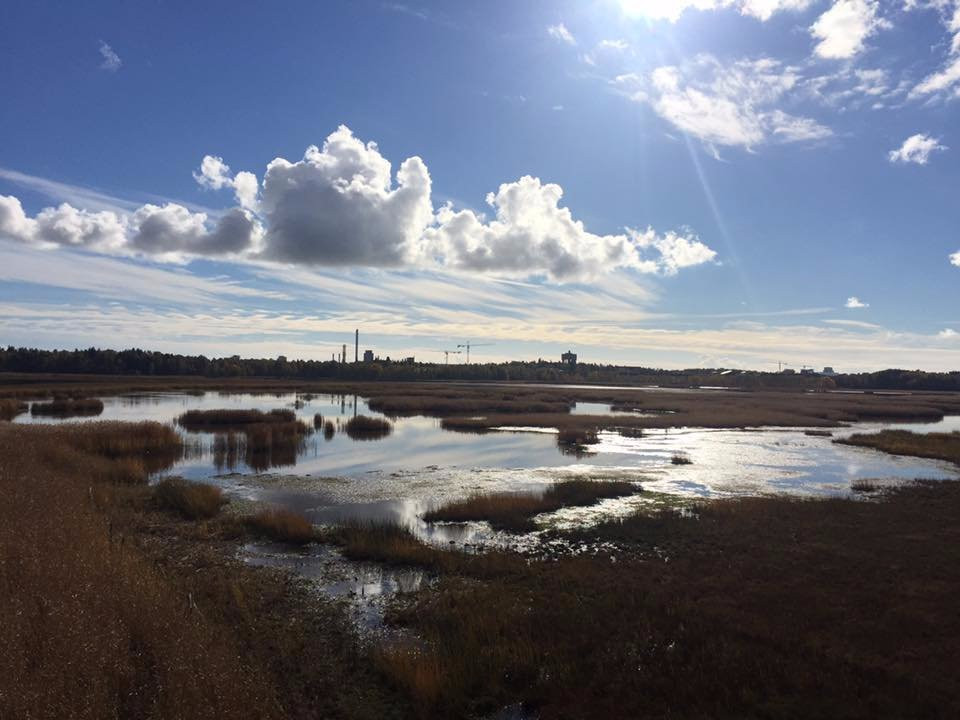 Laajalahti Nature Reserve-埃斯波必去景点