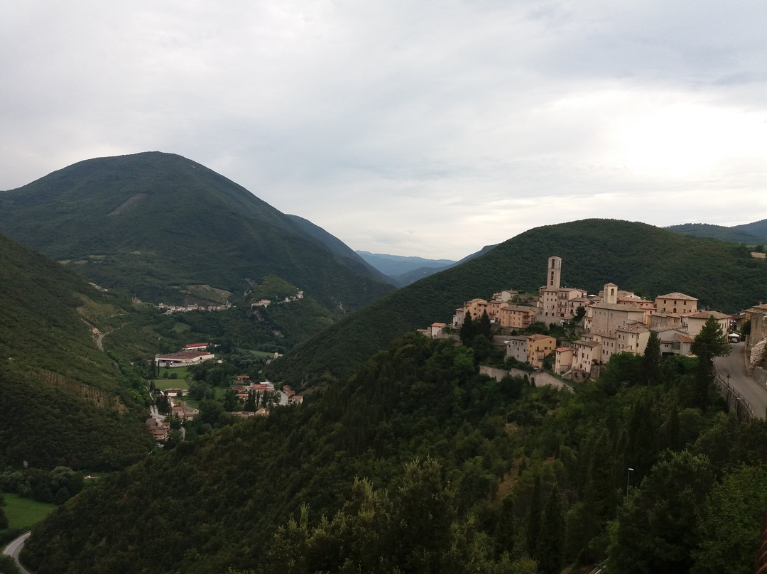 Piazza Pontano景点图片