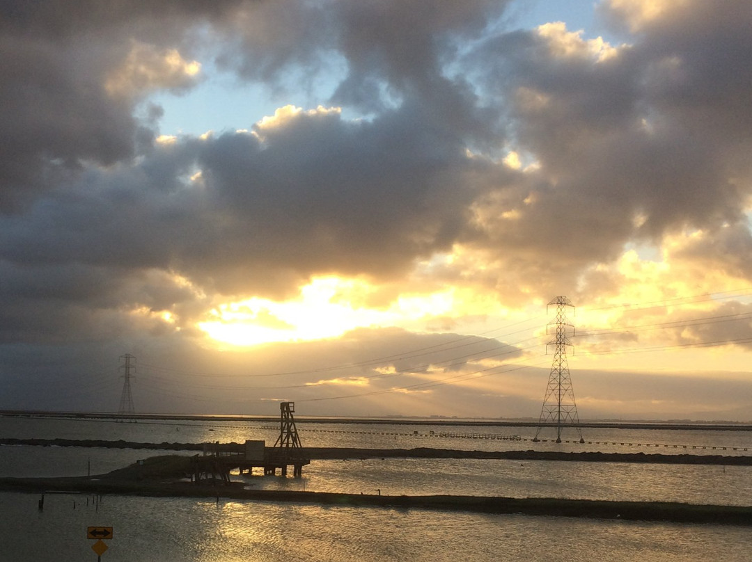 Don Edwards San Francisco National Wildlife Refuge-费利蒙必去景点