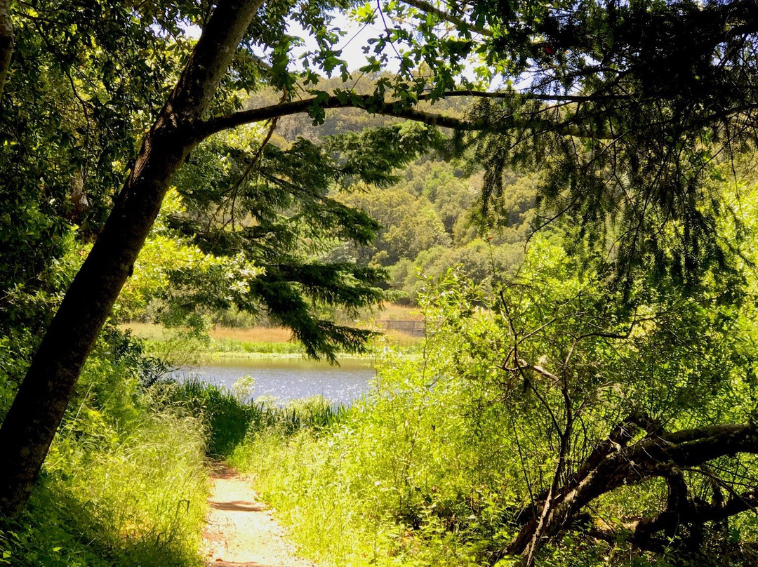 Horseshoe Lake-圣马特奥必去景点