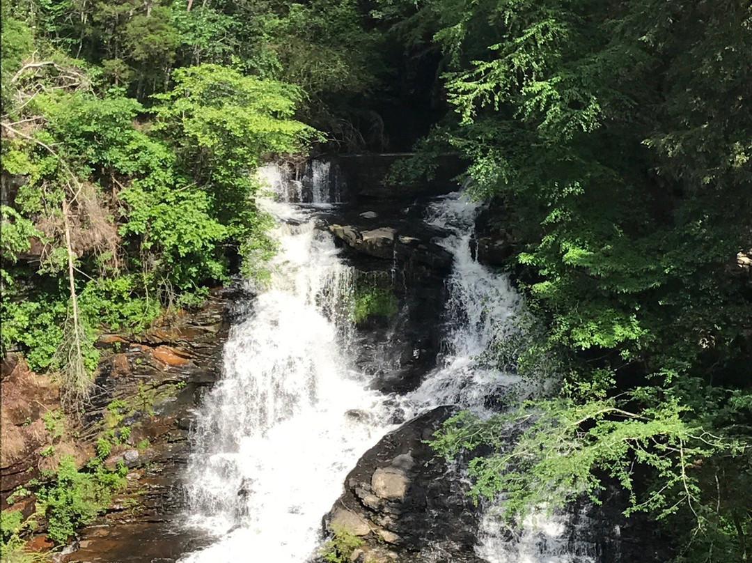 Pisgah Gorge Falls景点图片