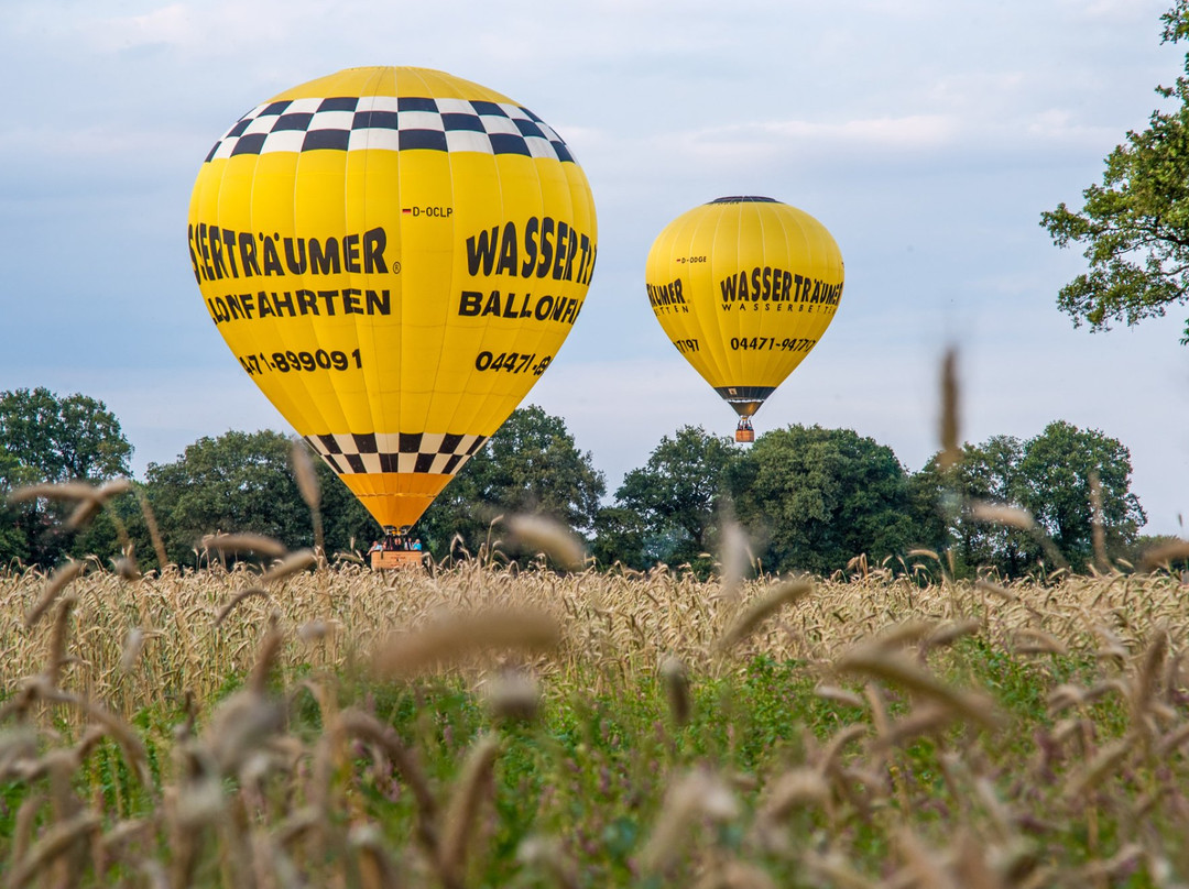 Wassertraeumer Wasserbetten & Ballonfahrten景点图片