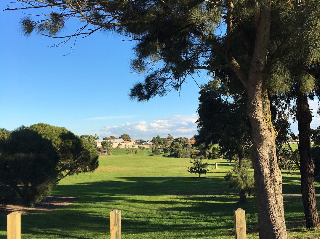Johnstone Street Reserve Playground景点图片