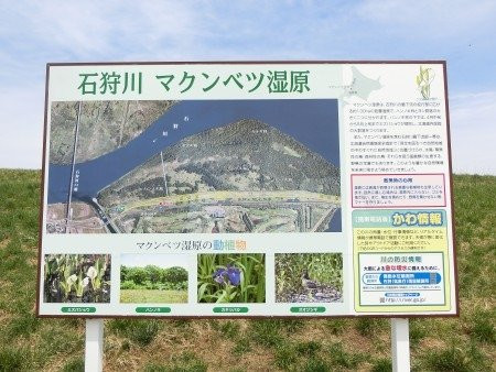 Makumbetsu Marsh-石狩市必去景点