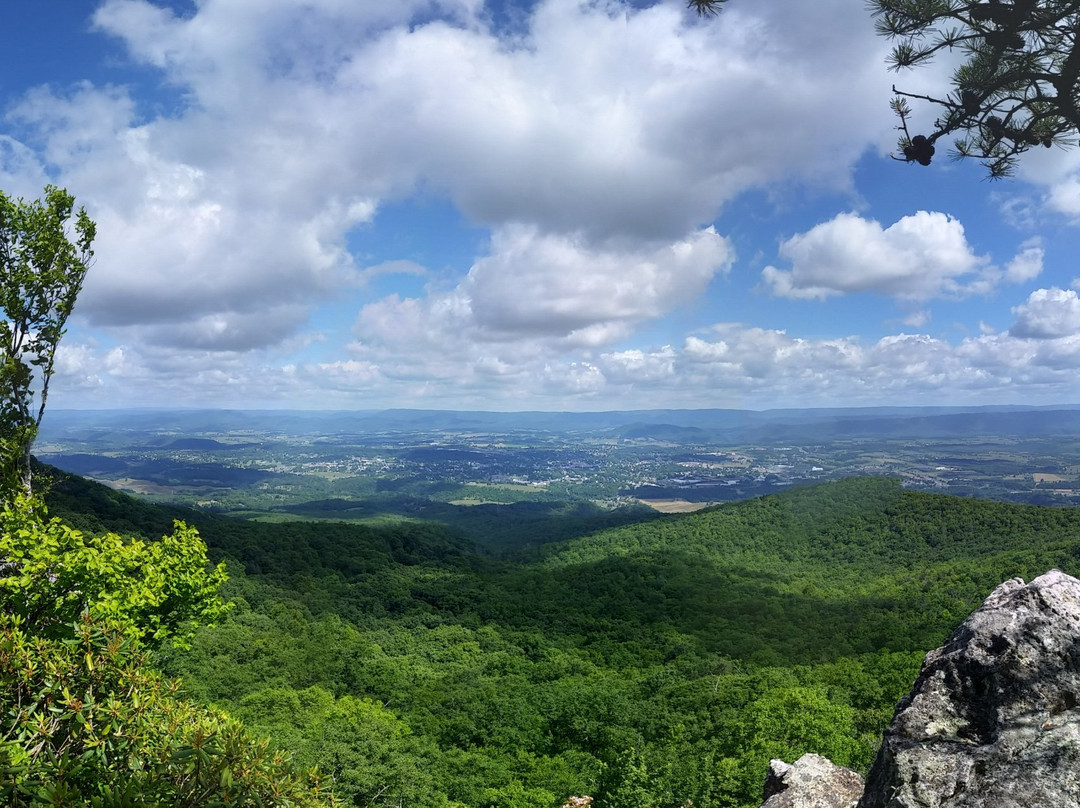 Wytheville There's Only One-Wytheville必去景点