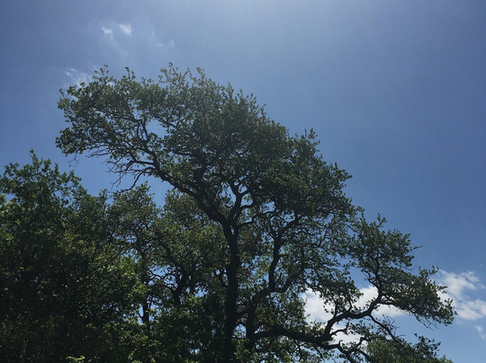 Eagle Mountain Park-沃思堡必去景点