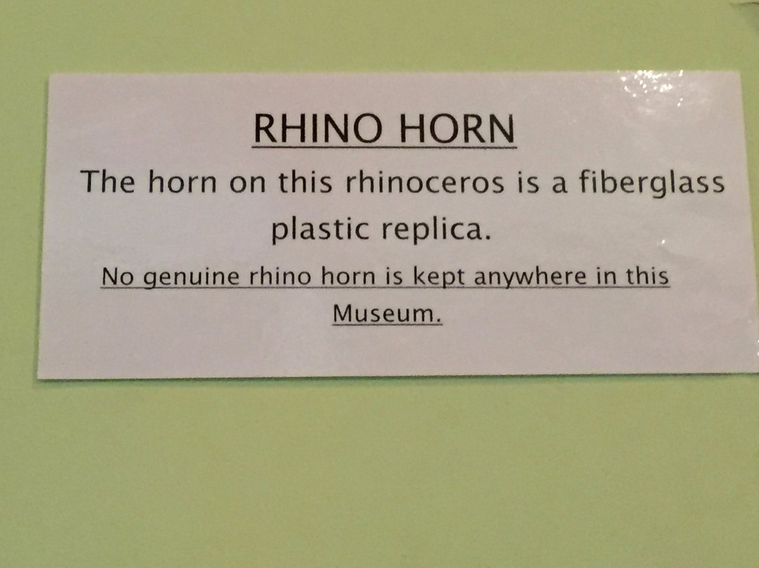 East London Museum-东伦敦必去景点