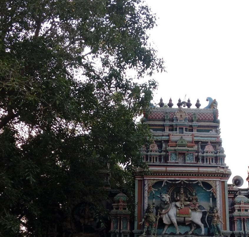 Immaiyil Nanmai Tharuvar Temple景点图片