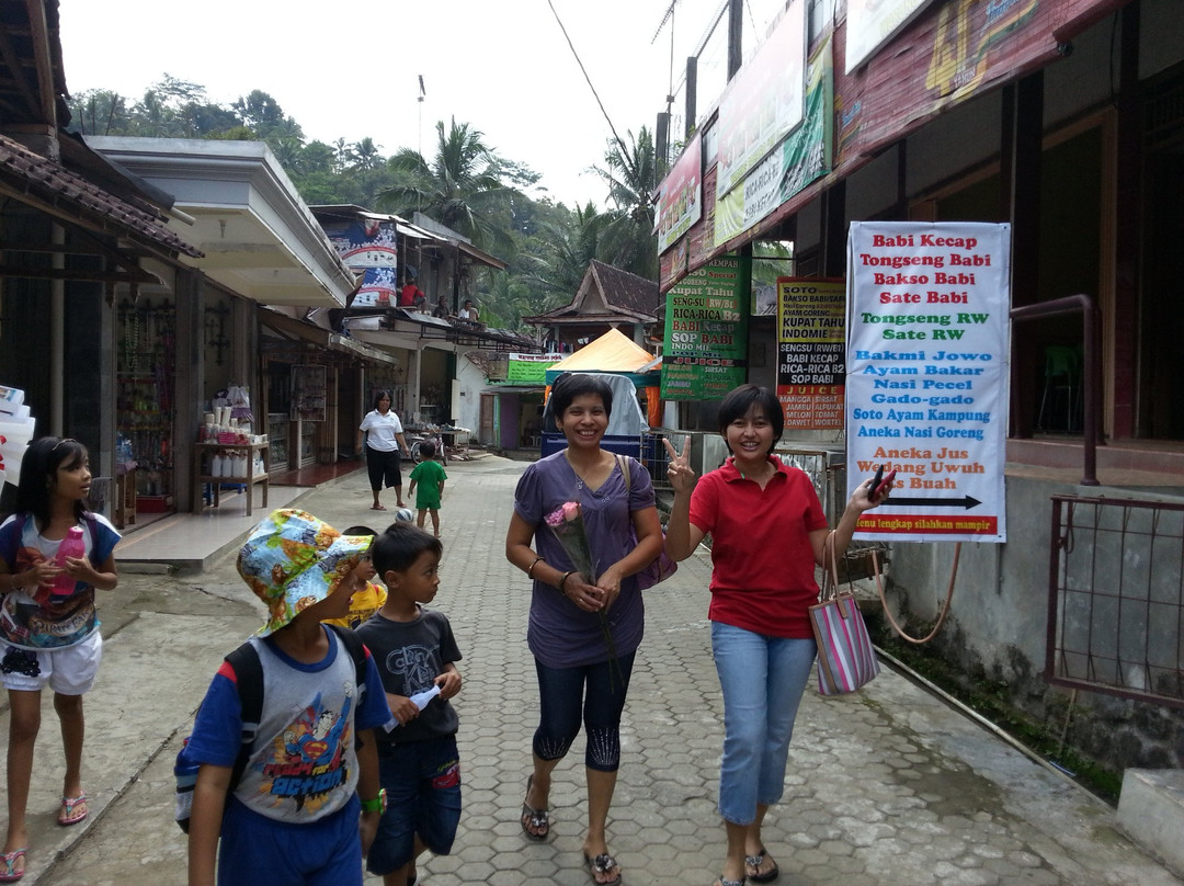 The Cave of Holy Mary Sendangsono-Kulon Progo必去景点