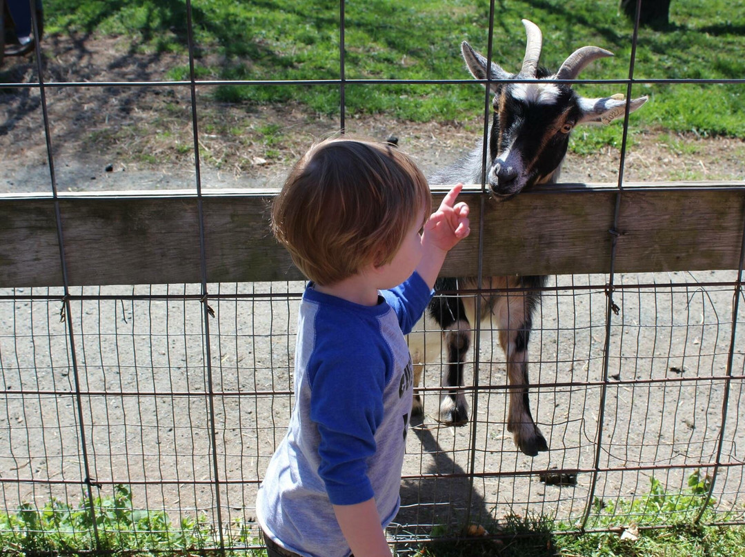 Clark's Elioak Farm-埃利科特城必去景点