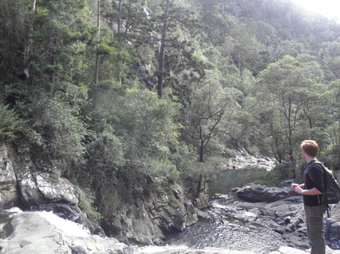 Araucaria Ecotours - Day Tours景点图片