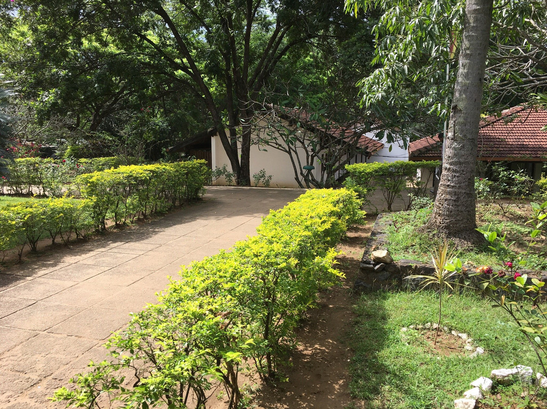 Digana Village Resort主图