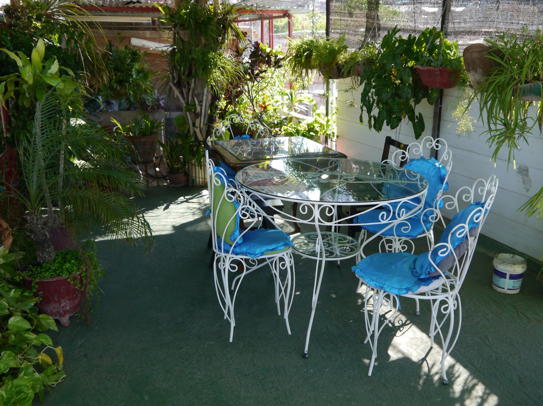 La Terraza Verde主图