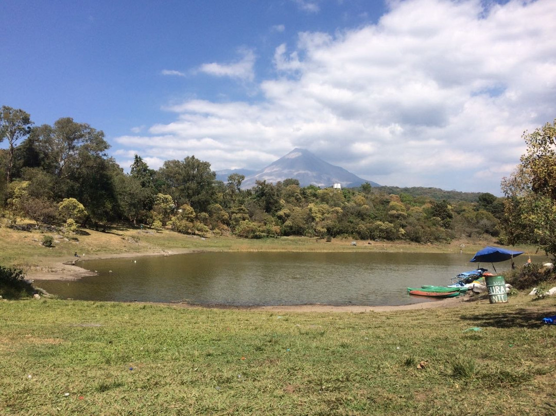Laguna de Carrizalillos景点图片