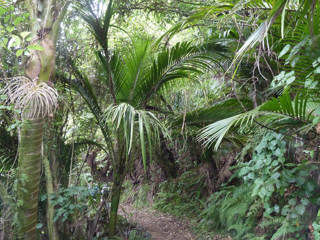 Kahurangi Guided Walks景点图片